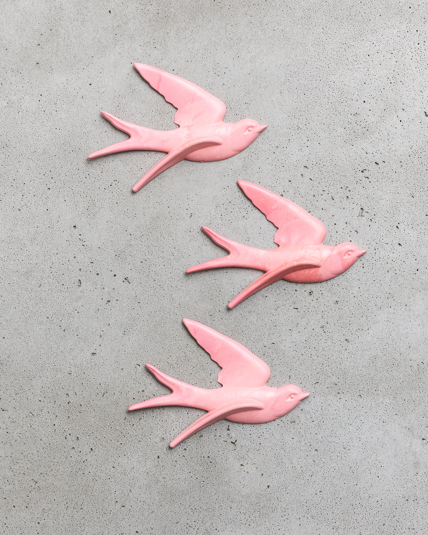 Lobster Pink