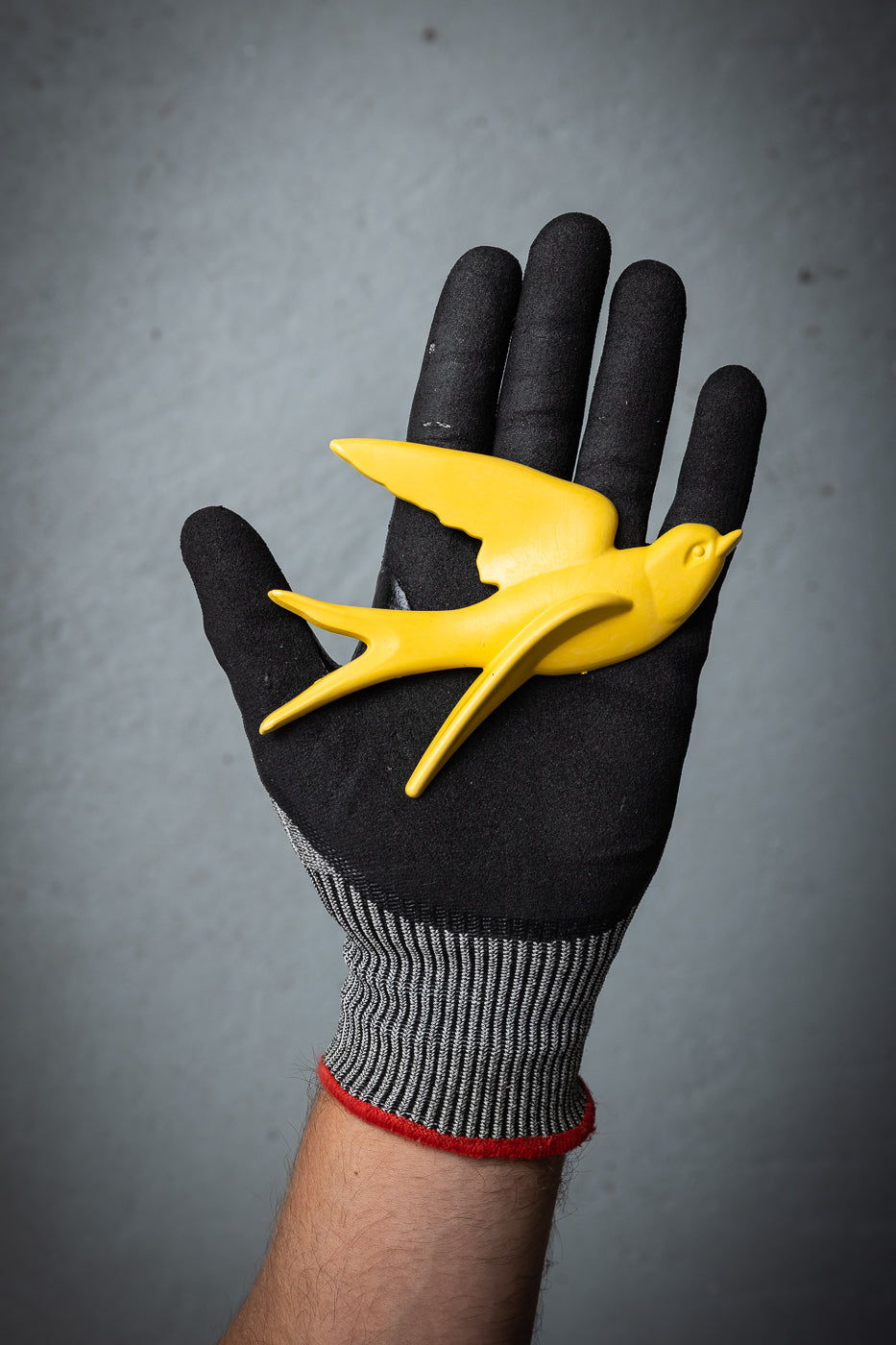 Starfish Orange