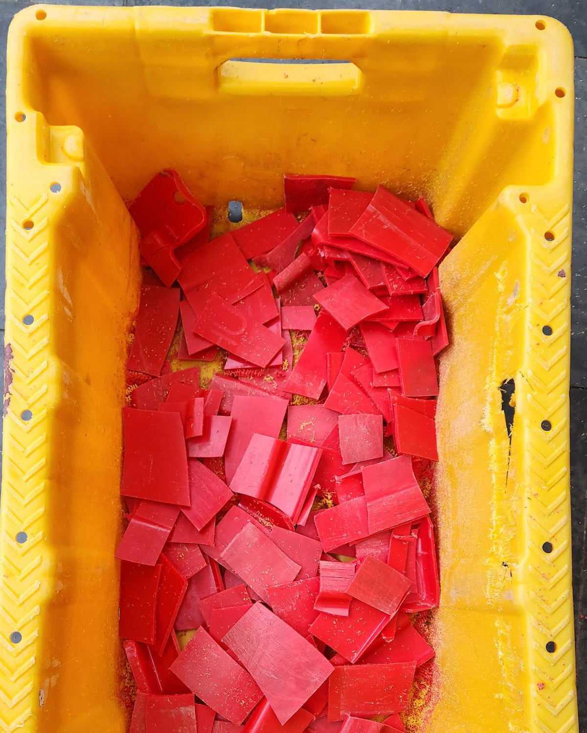 Lobster Pink