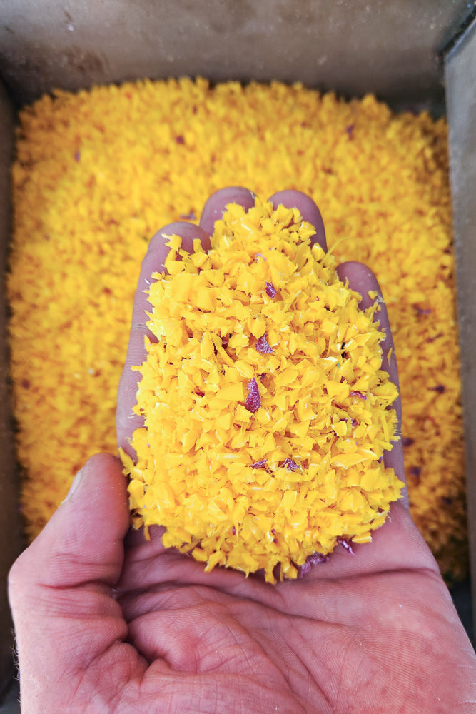 Sea Lemon