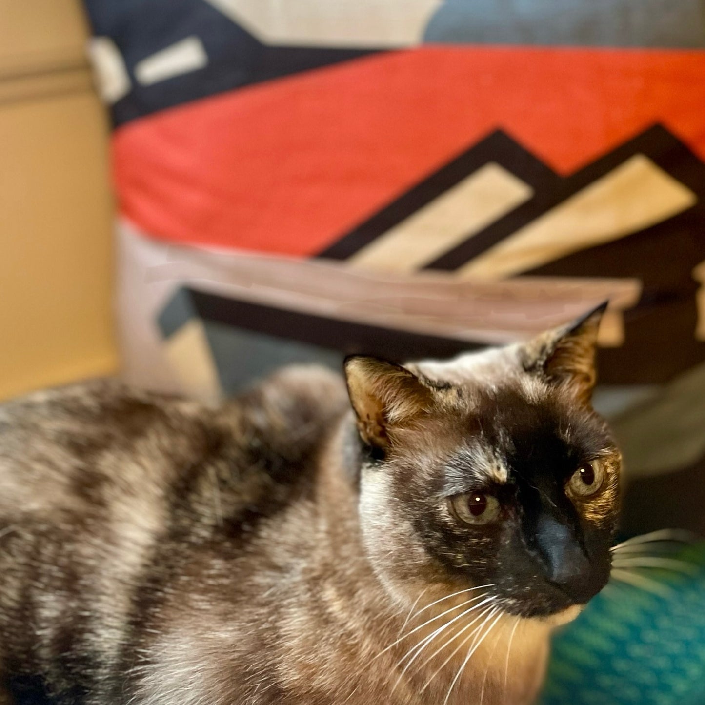 Lundy Cushion