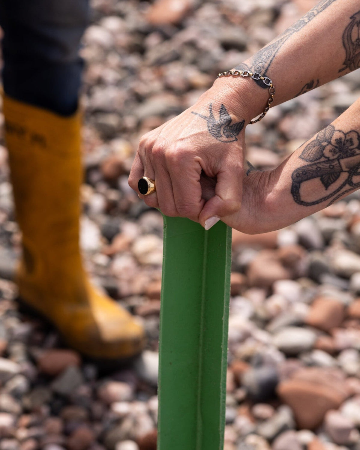 Seagrass Green