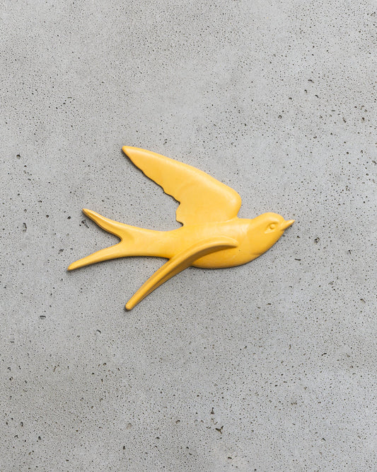 Starfish Orange