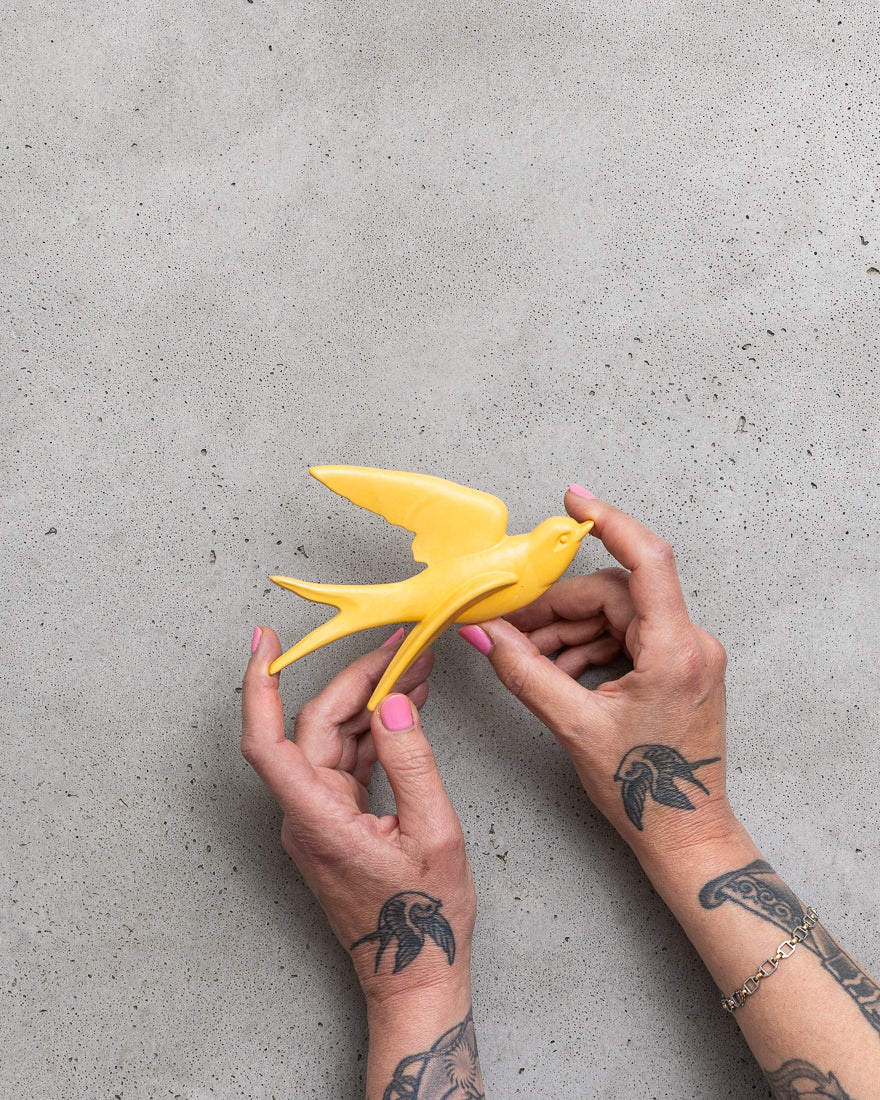 Starfish Orange