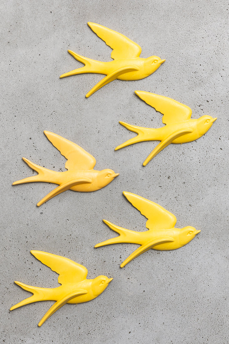 Starfish Orange