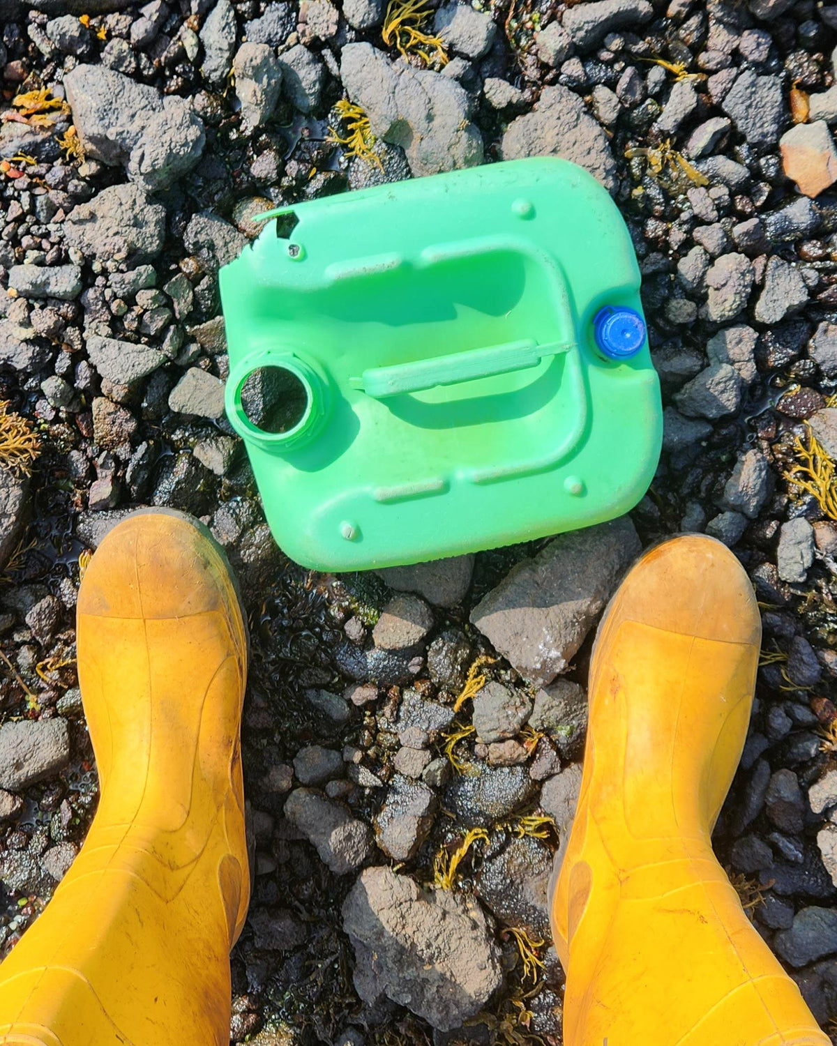 Seagrass Green