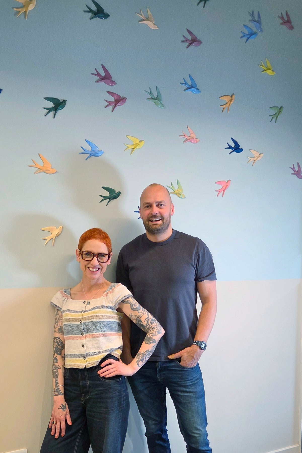 Art Installation Pack - 50 Swallows